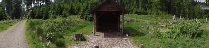 Jagdstube im Hotel Jagdhaus Wiese