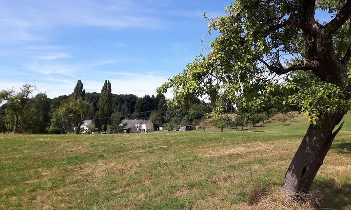 Gasthaus Zur-Wegscheide