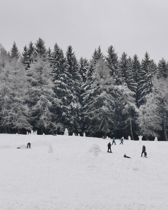 Waldgasthaus Auerhahn